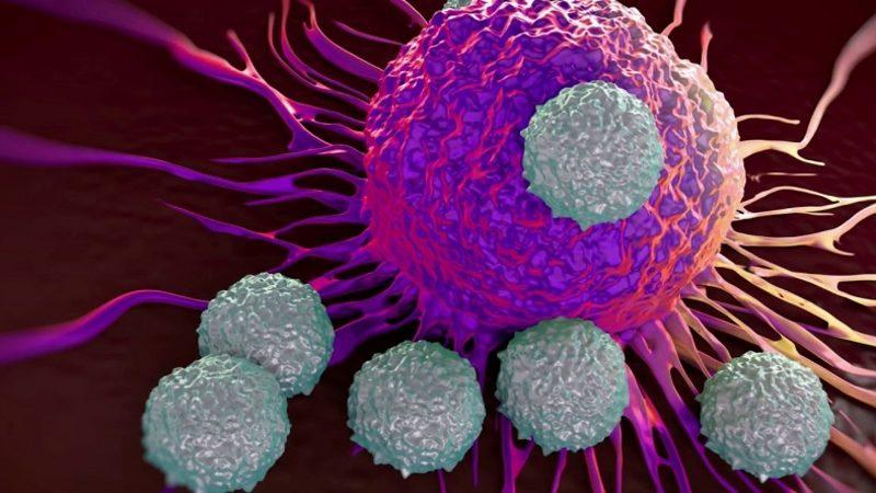 Ürettiği Antikorlar Sayesinde Vücudumuzu Koruyan Lenfosit Nedir, Düşüklüğü ve Yüksekliği Ne Anlama Gelir?