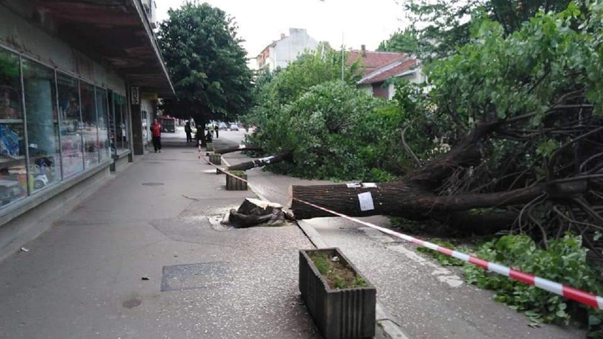 Yangınların Nedeni İddia Edildiği Gibi 5G Olabilir mi?