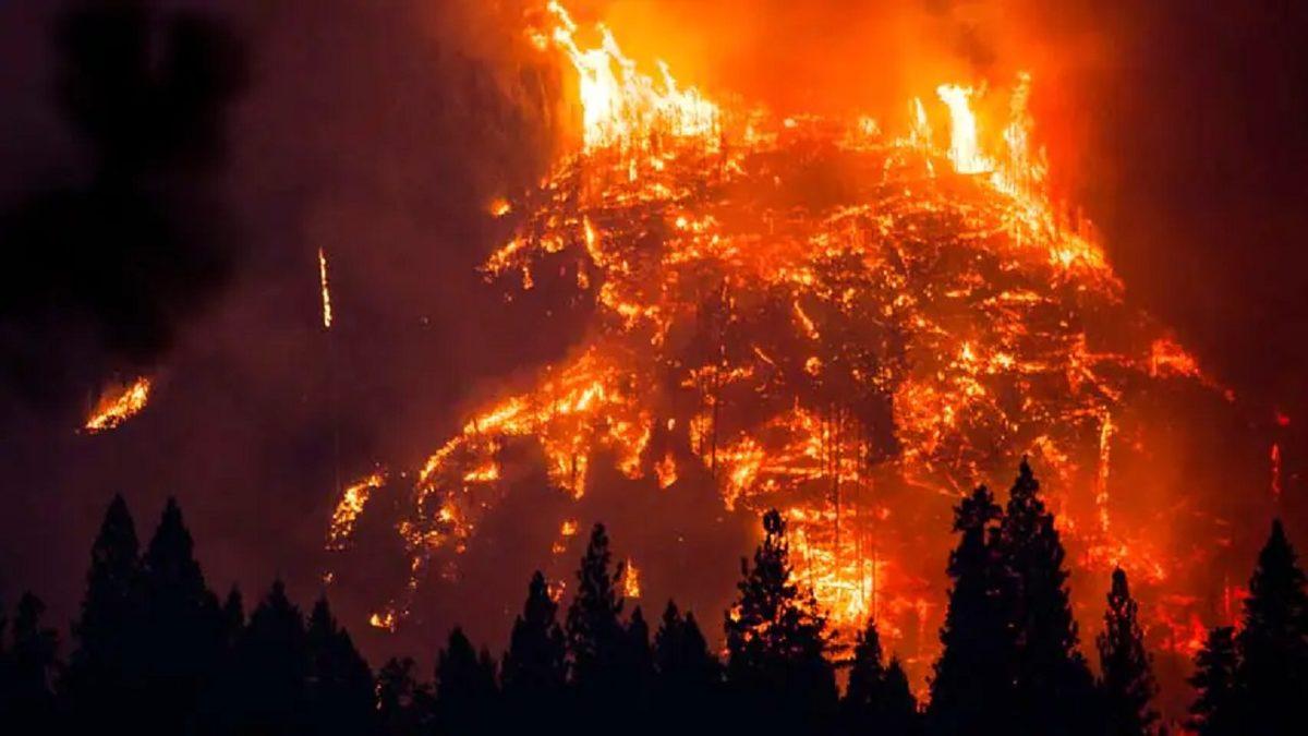 Yangınların Nedeni İddia Edildiği Gibi 5G Olabilir mi?