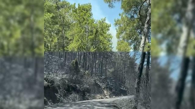 Yangının Yemyeşil Marmaris’i Korku Filmi Setine Çevirdiğini Gösteren Video