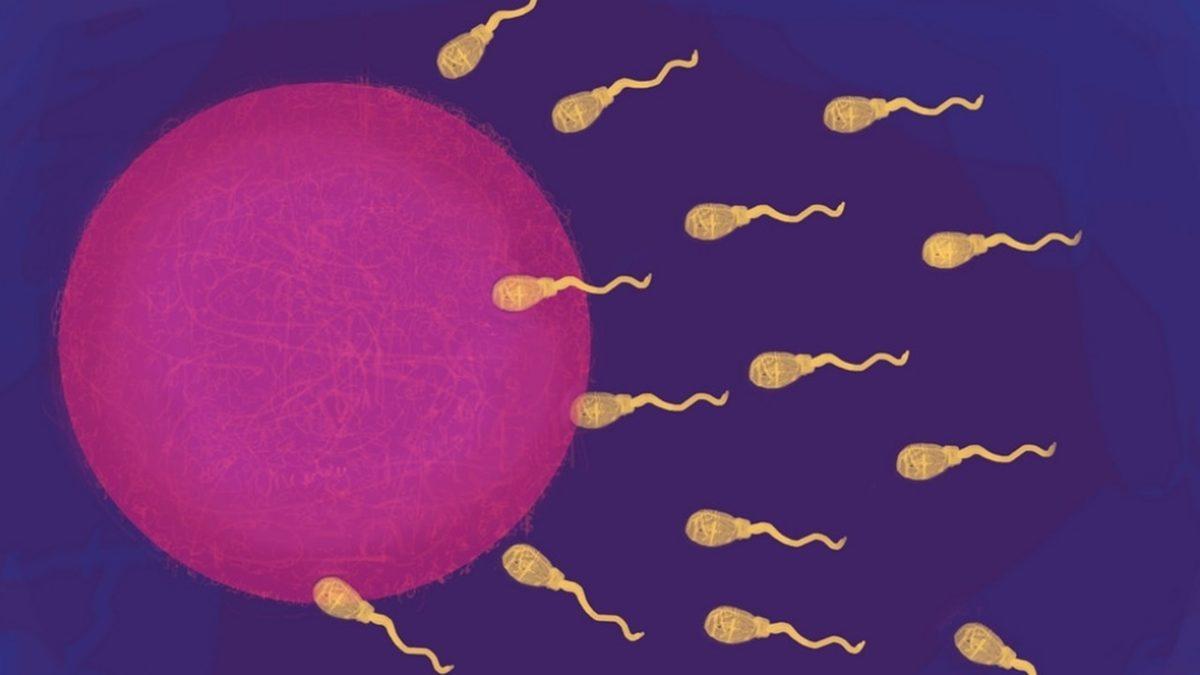 Genellikle Kadınlarda Görülse de Erkeklerin Vücudunda da İzlere Neden Olan ’Sperm Alerjisi’ Nedir?