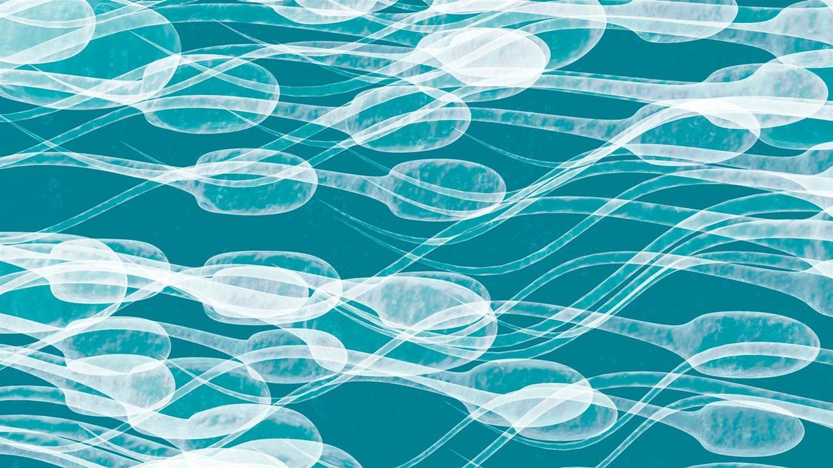 Genellikle Kadınlarda Görülse de Erkeklerin Vücudunda da İzlere Neden Olan ’Sperm Alerjisi’ Nedir?