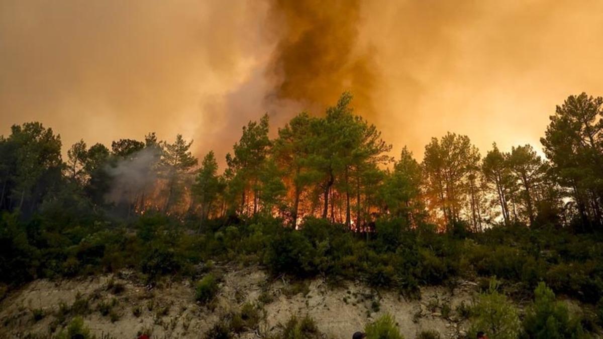 Yangından Etkilenen Bölgelerde Mükelleflerin Vergi Borçları Ertelendi