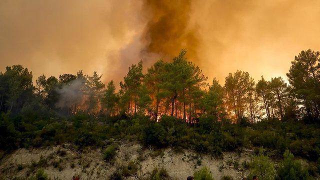 Yangından Etkilenen Bölgelerde Mükelleflerin Vergi Borçları Ertelendi