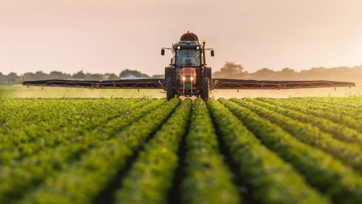 Bill Gates, Pek Çok Ülkede Sessizce Tarım Arazileri Satın Alıyor: Peki ’Gezegeni İstila Ediyor’ İddiasının Aslı Astarı Nedir?