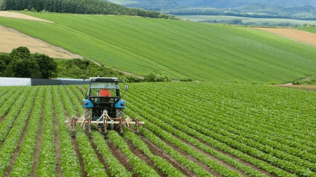 Bill Gates, Pek Çok Ülkede Sessizce Tarım Arazileri Satın Alıyor: Peki ’Gezegeni İstila Ediyor’ İddiasının Aslı Astarı Nedir?