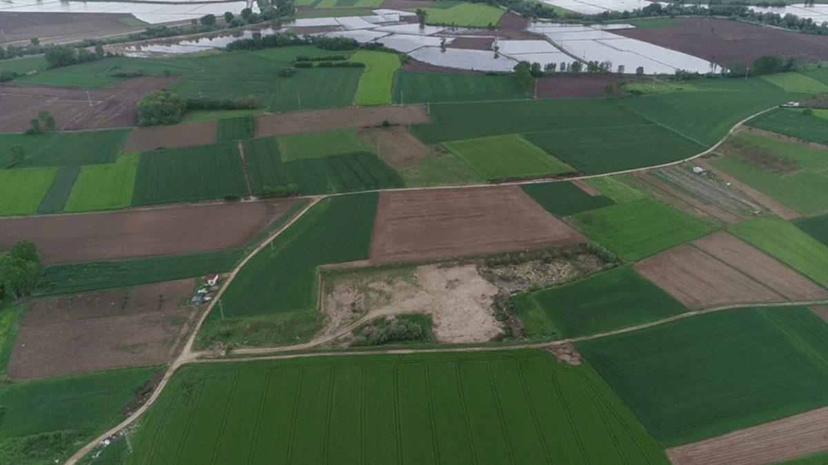 Bill Gates, Pek Çok Ülkede Sessizce Tarım Arazileri Satın Alıyor: Peki ’Gezegeni İstila Ediyor’ İddiasının Aslı Astarı Nedir?