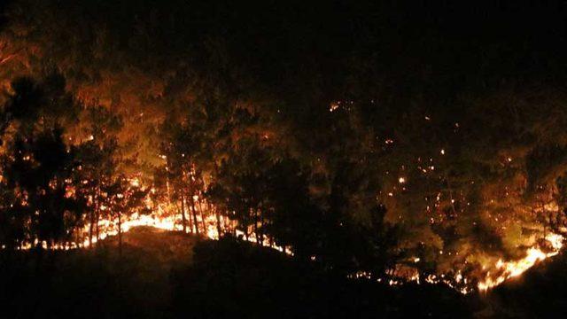 SON DAKİKA: Manavgat’taki Yangının Kontrol Altına Alındığı Açıklandı
