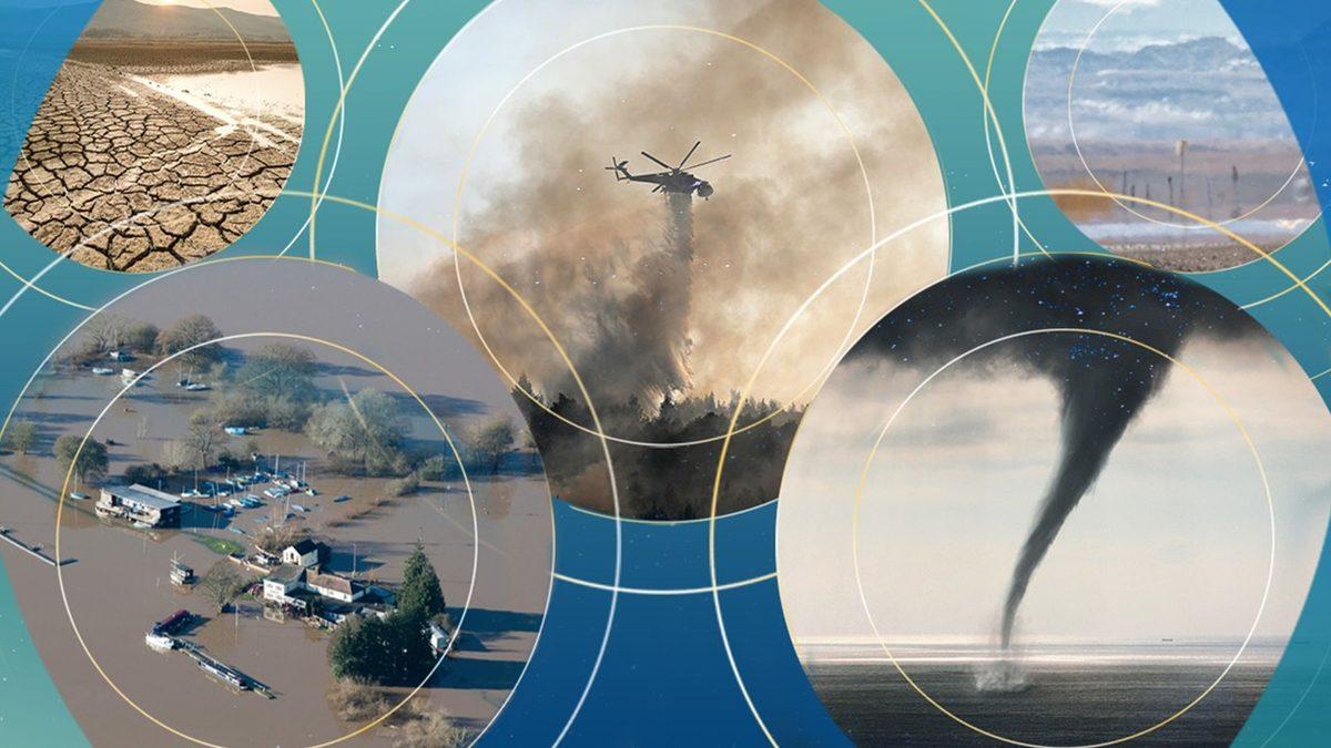 Son Zamanlarda Vandal Protestolarla Gündeme Gelen Bazı İklim Aktivistleri Ne Yapmak, Nereye Varmak İstemektedirler?