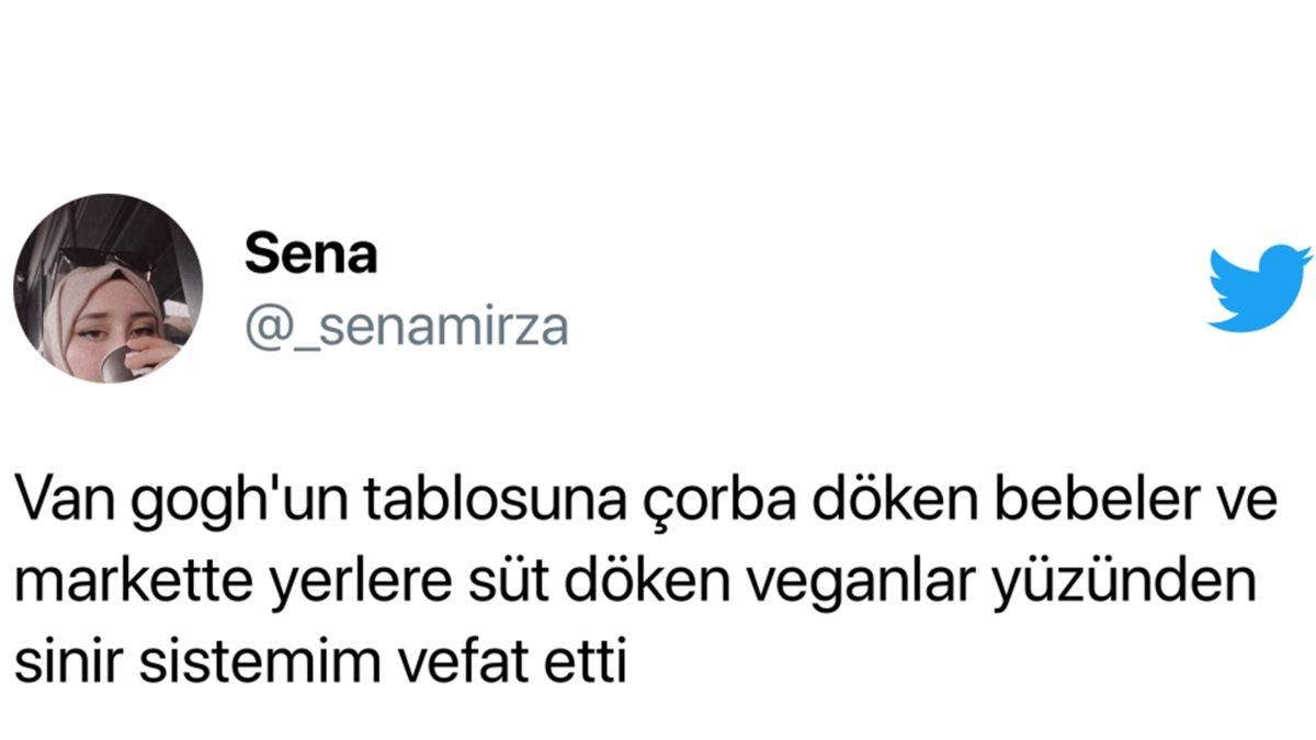 Son Zamanlarda Vandal Protestolarla Gündeme Gelen Bazı İklim Aktivistleri Ne Yapmak, Nereye Varmak İstemektedirler?