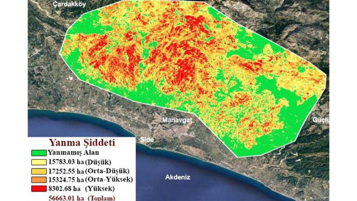 Türkiye’deki Yangınlar Sonucunda Kaç Hektarlık Alanın Küle Dönüştüğü Açıklandı