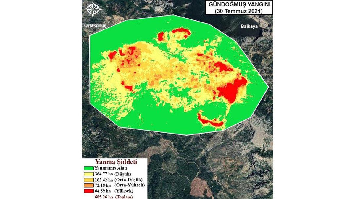 Türkiye’deki Yangınlar Sonucunda Kaç Hektarlık Alanın Küle Dönüştüğü Açıklandı