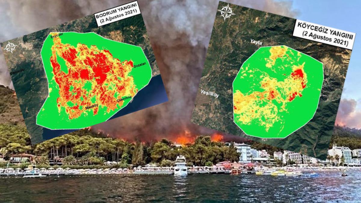 Türkiye’deki Yangınlar Sonucunda Kaç Hektarlık Alanın Küle Dönüştüğü Açıklandı