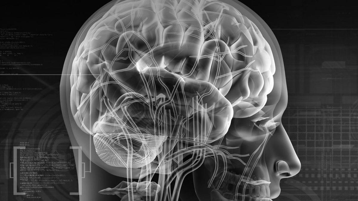 Video Oyunlarının “Çocuk İşi” Olmadığının 8 Göstergesi