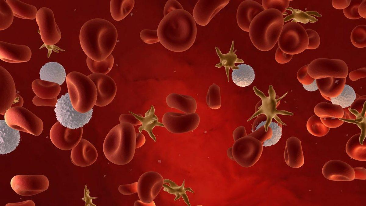 Kan Tahlillerinde Hem Yüksekliğini Hem de Düşüklüğünü Ciddiye Almamız Gereken Değer: PLT Nedir?