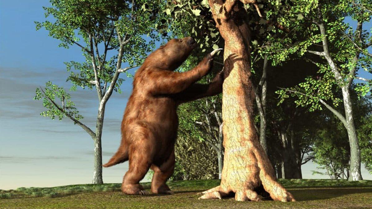 Dinozorlardan Sonra Dünya Üzerinde Yaşamış Olan En Büyük Kara Canlısı: Megatherium