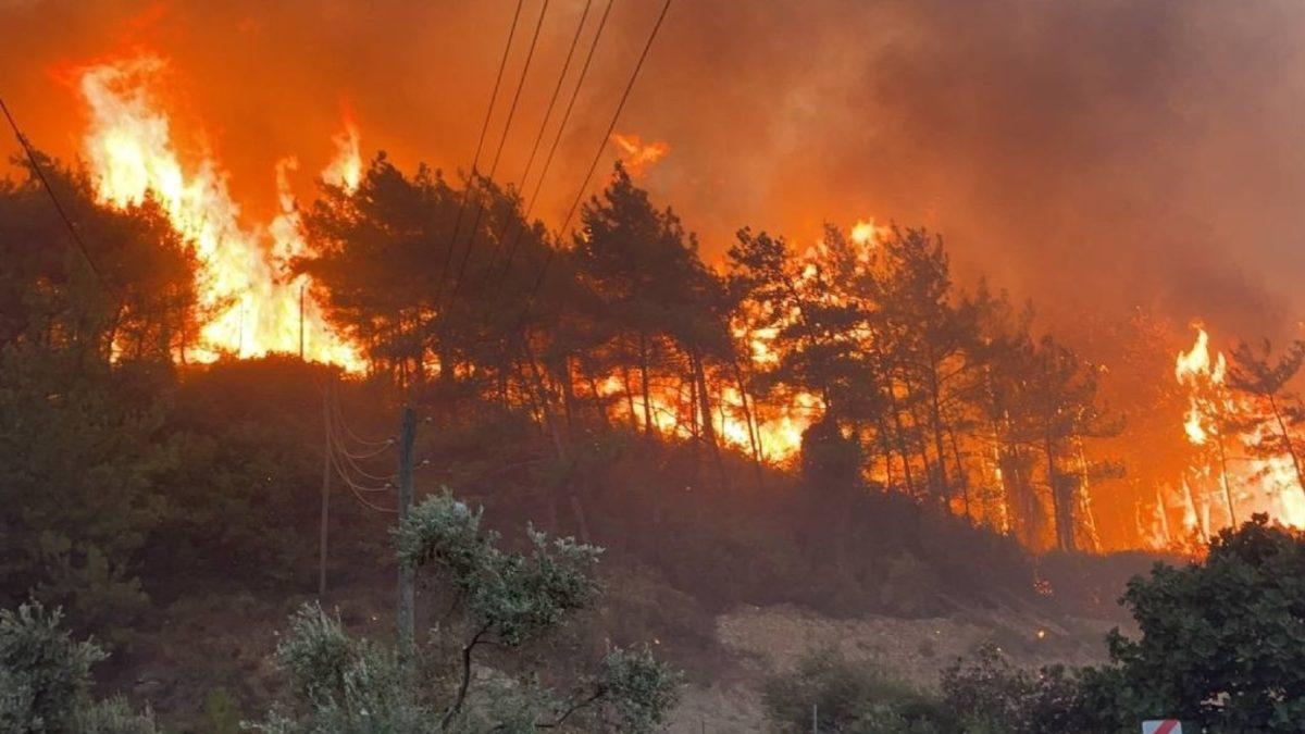 Buralar Karışacak Vaziyet Alın: Greta Thunberg, Birleşmiş Milletler İklim Değişikliği Konferansı’na Katılacağını Açıkladı