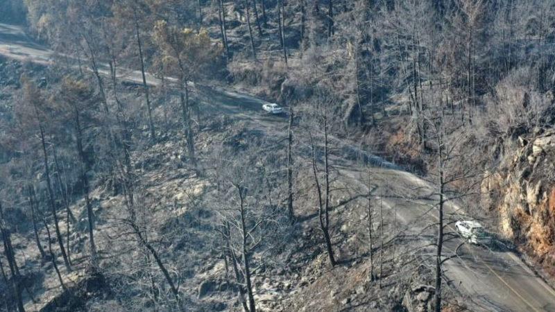 Yeşilden Siyaha: Marmaris’in Yangından Önceki ve Sonraki Halini Gösteren Video