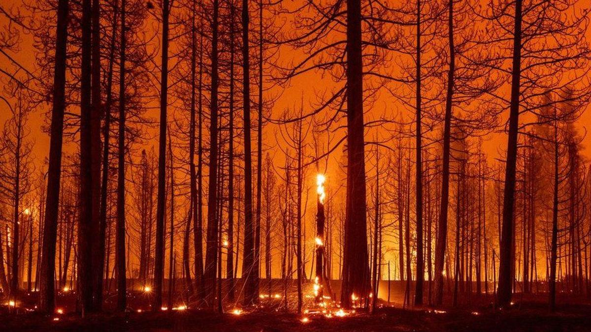 IPCC, İklim Zirvesine 3 Ay Kala Kapsamlı İklim Değişikliği Raporunu Çıkardı: Ülkeler Acilen Harekete Geçmeli