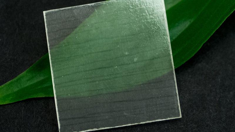 Plastiğin Yerini Alabilecek Malzeme Açıklandı (Ne Demir Ne Cam...)