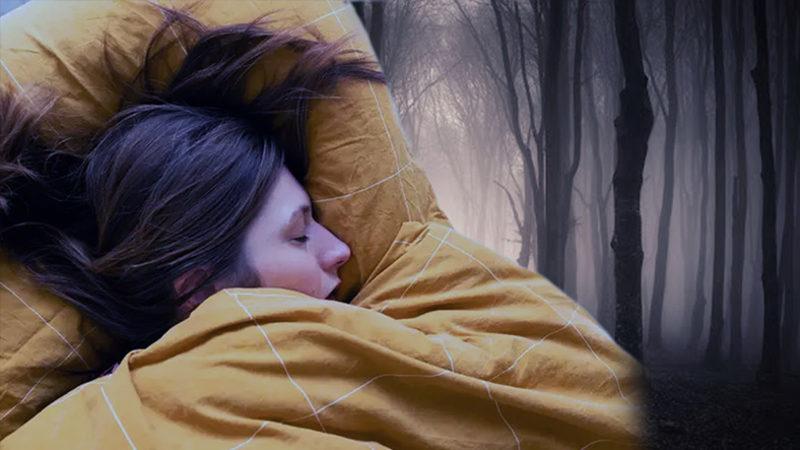 Ölümün Ötesini Bilmemek mi, Farklı Bir Neden mi? Rüyalarımızda Ölmek Üzereyken Neden Aniden Uyanırız?