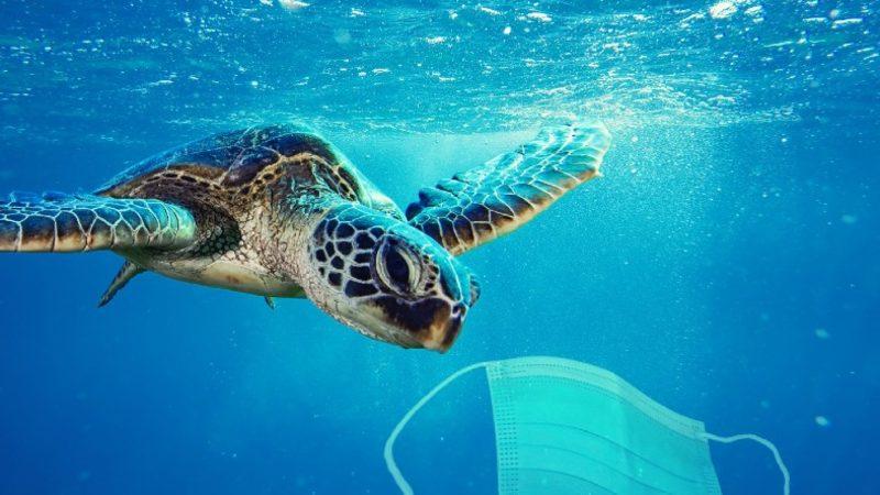 Koronavirüsün Gözlerden Uzak Tehlikesi: 1,6 Milyar Maske Okyanuslara Atıldı