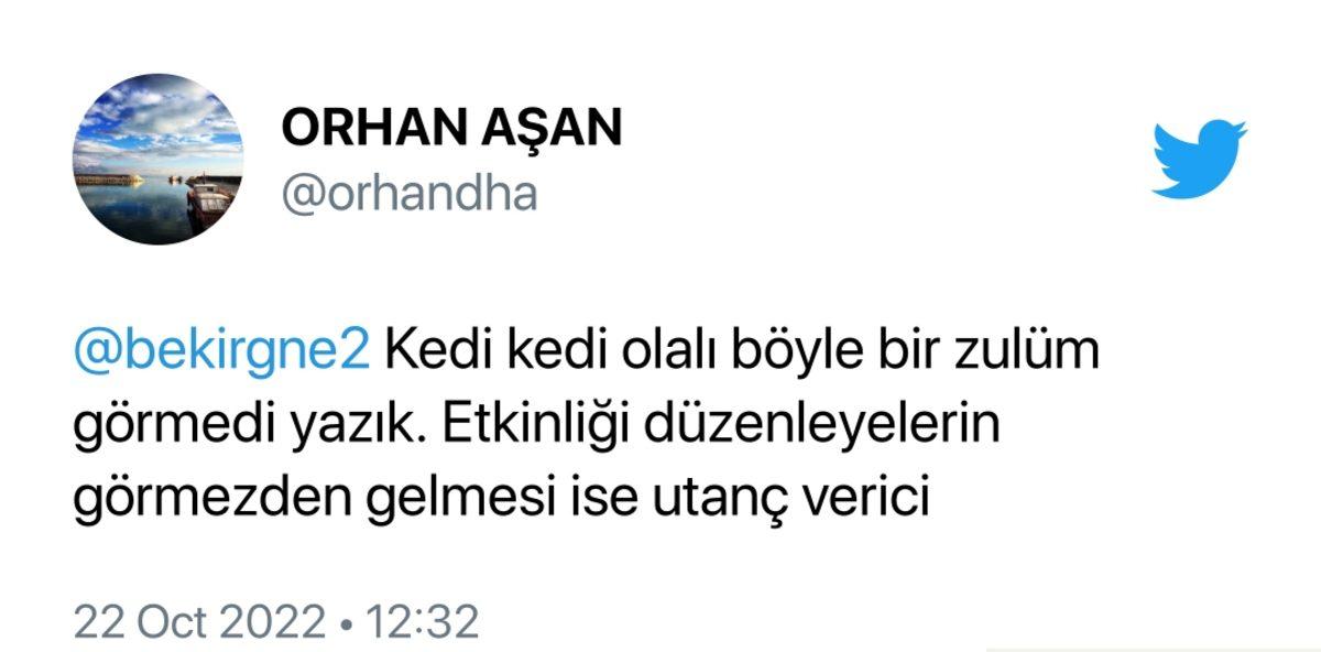 ’Van Tanıtım Günleri’nde Van Kedisinin Cam Kafeste Sergilenmesi Sosyal Medyada Tepki Çekti