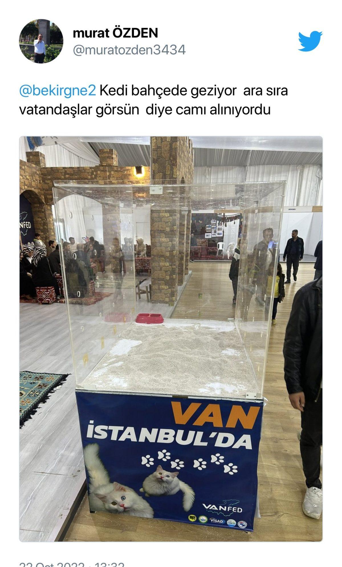 ’Van Tanıtım Günleri’nde Van Kedisinin Cam Kafeste Sergilenmesi Sosyal Medyada Tepki Çekti