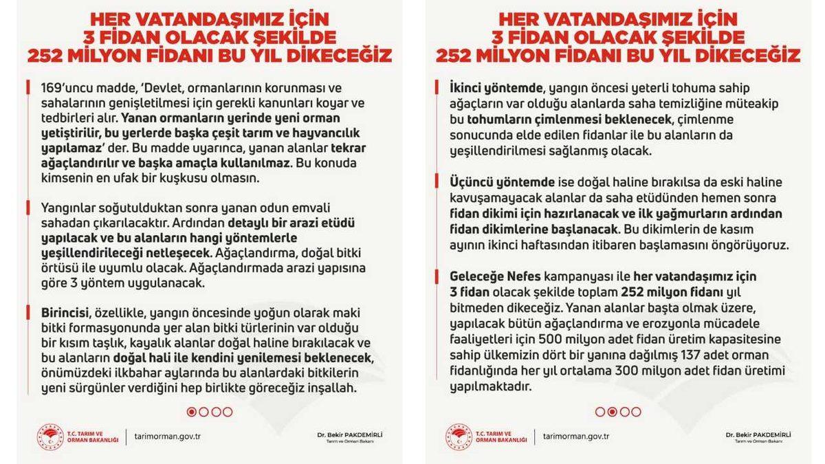 Orman Bakanlığı, Yanan Bölgelere Kaç Adet Ağaç Dikileceğini Açıkladı