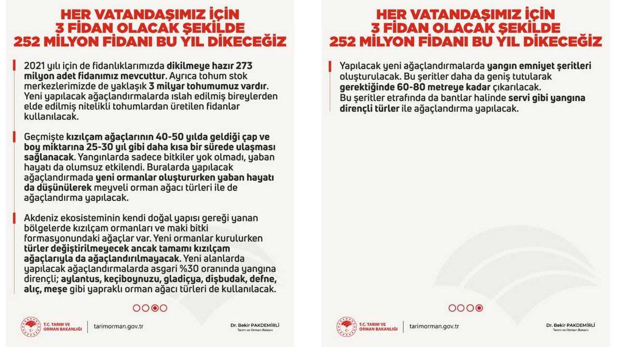 Orman Bakanlığı, Yanan Bölgelere Kaç Adet Ağaç Dikileceğini Açıkladı