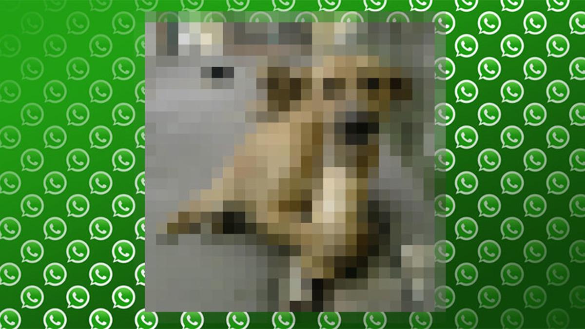 Whatsapp’ın ‘Sansürlü Fotoğraf’ Özelliği, Şimdiden Test Edilmeye Başlandı