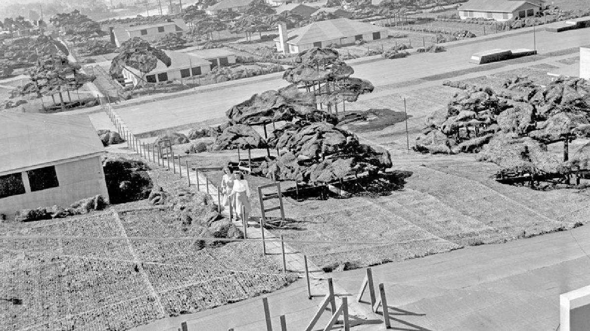 Savaş Uçaklarını Korumak İçin Bir Fabrikanın Çatısına İnşa Edilen Devasa Sahte Kasaba