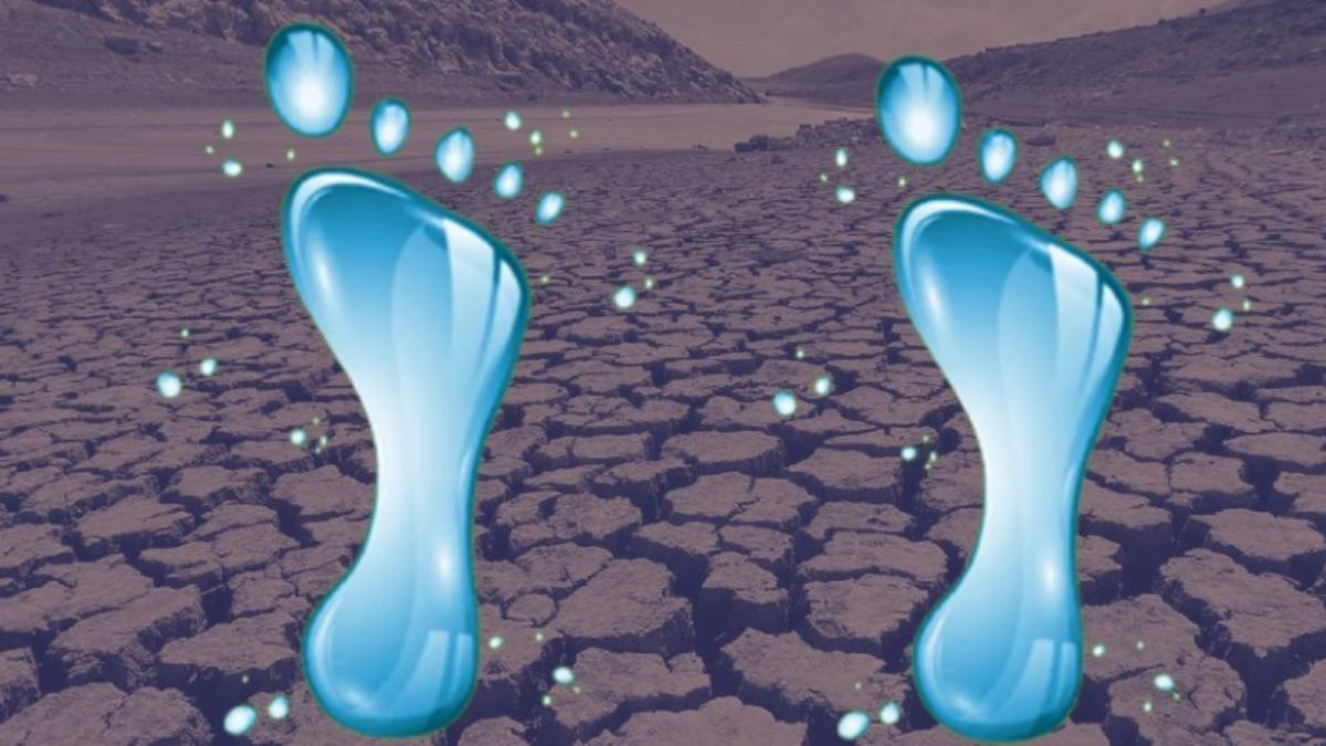 Doğaya Ne Kadar Zarar Verdiğinizi Gösteren ’Su Ayak İzi’ Hakkındaki Çarpıcı Gerçekler (Hemen Hesaplayabilirsiniz!)