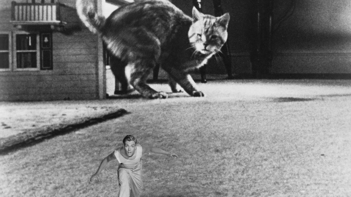 Hep Aynı Önerilerden Sıkılanlar Buraya! Nispeten Az Bilinen 15 Kaliteli Film