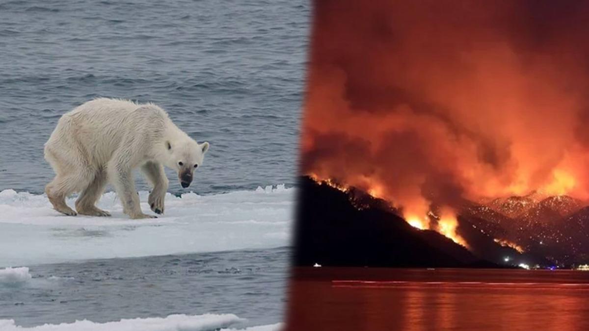 Mavi Gezegen Isınmaya Devam Ediyor: Temmuz’da Dünya Genelinde 142 Yıllık Sıcaklık Rekoru Kırıldı