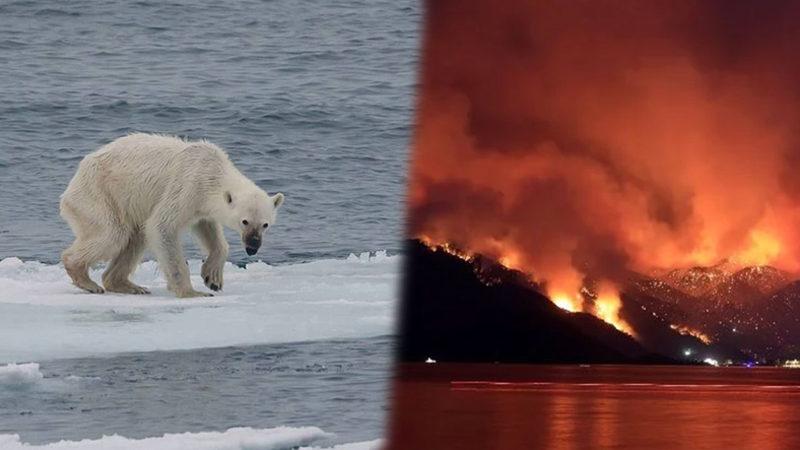 Mavi Gezegen Isınmaya Devam Ediyor: Temmuz’da Dünya Genelinde 142 Yıllık Sıcaklık Rekoru Kırıldı