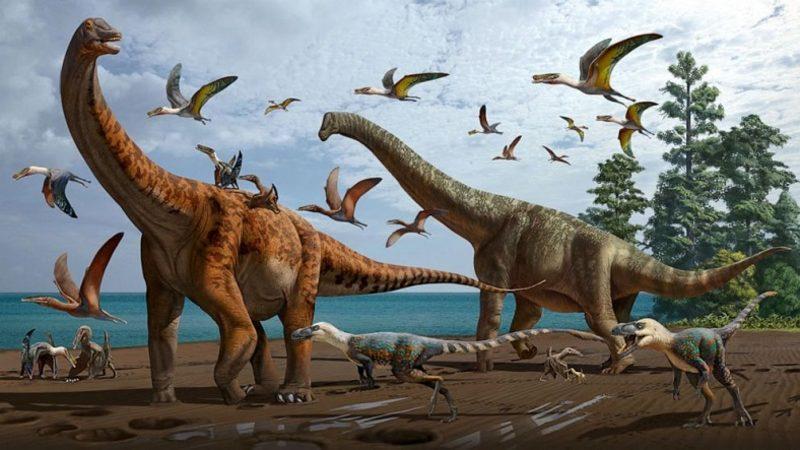 Çin’de 2 Yeni Dinozor Türü Keşfedildi: Boyları 20 Metreye Kadar Çıkıyor