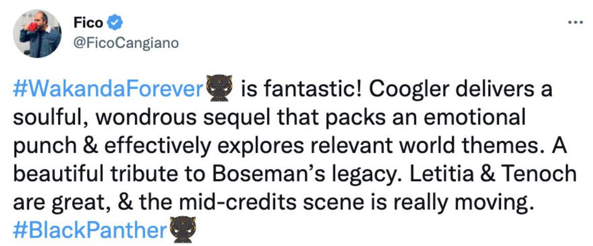 Black Panther 2 İçin İlk Yorumlar Paylaşıldı! İşte İzleyenlerin İlk Tepkileri
