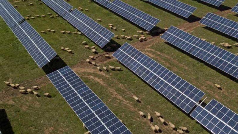 Türkiye, Elektrik Üretiminde Güneş’in Payını Yüzde 7,5’e Yükseltti