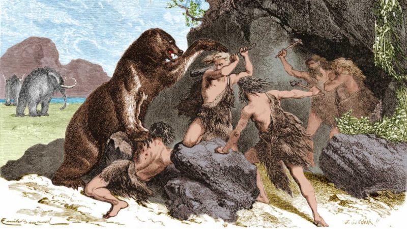 Sosyal Memelilerin Yalnız Yaşayanlardan Daha Hızlı Evrimleştiği Ortaya Çıktı