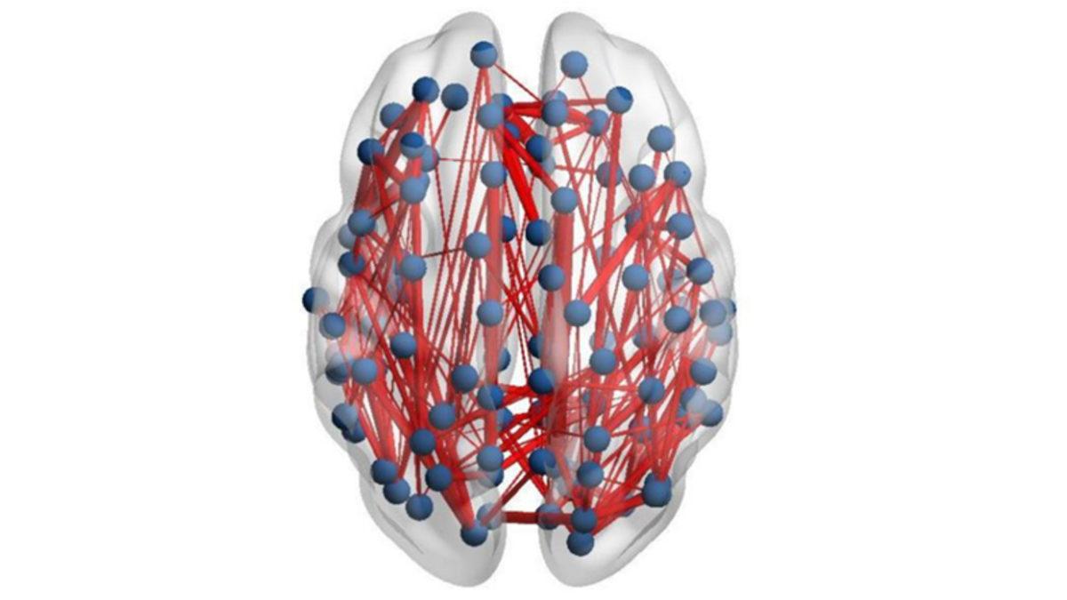 Antidepresanların, Bozulan Beyin Yapısını Bile Düzeltebildiği Keşfedildi