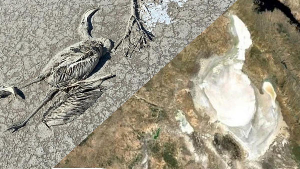 Tuz Gölü’ndeki Kuraklık Uydu Görüntülerinde: Önlem Alınmazsa Bölge Yıllar İçinde Çölleşebilir