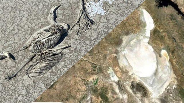 Tuz Gölü’ndeki Kuraklık Uydu Görüntülerinde: Önlem Alınmazsa Bölge Yıllar İçinde Çölleşebilir