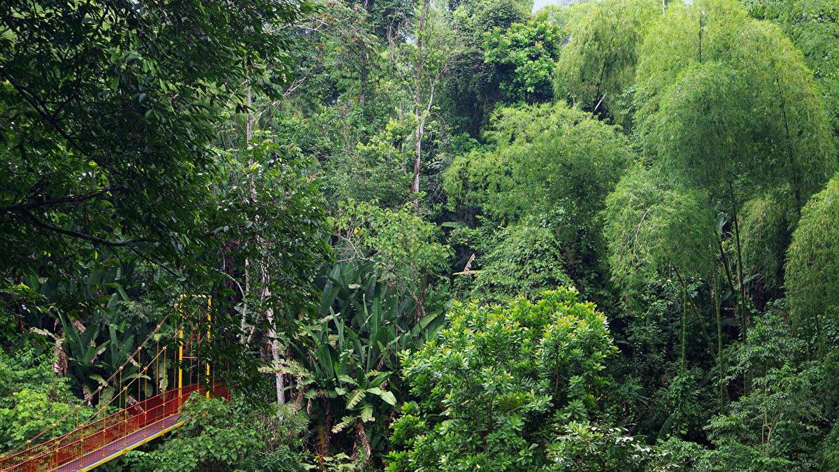 Tüm Yıl Bahar Mevsimini Yaşayan Bir Şehre Sahip Kolombiya’nın Ne Kadar İlginç Bir Ülke Olduğunu Kanıtlayan 11 Bilgi