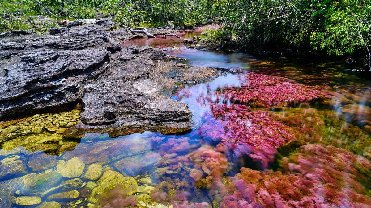 Tüm Yıl Bahar Mevsimini Yaşayan Bir Şehre Sahip Kolombiya’nın Ne Kadar İlginç Bir Ülke Olduğunu Kanıtlayan 11 Bilgi