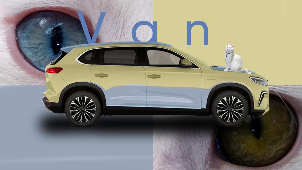 Togg’un Türkiye’den Esinlenilen Renklerine Yenilerini Ekledik: İşte Karadeniz, Trakya ve Dahası...