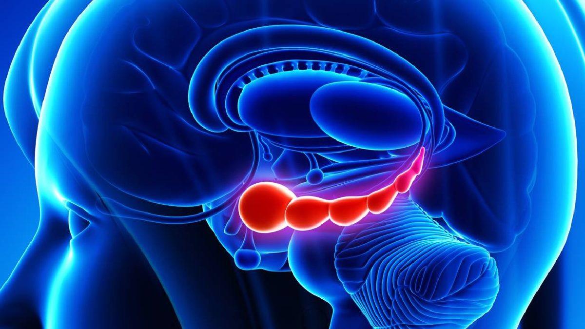 Hayata Her Gün Sıfırdan Başlayan ve Yıllardır 1994 Senesinde Yaşadığını Sanan Kadının 50 İlk Öpücük Filmine İlham Olan İlginç Hikayesi