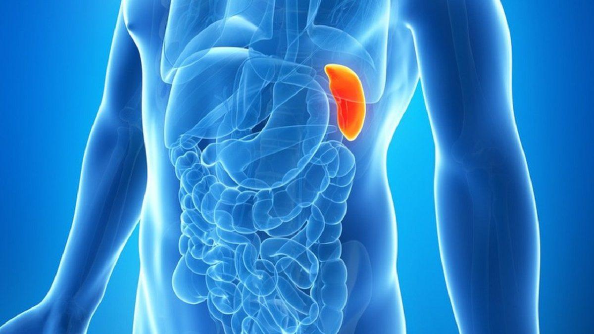 Kan Tahlillerinde Karşılaştığımız ’CA 19-9’ Değeri Bize Ne Anlatır, Yüksekliğini Neden Ciddiye Almalıyız?