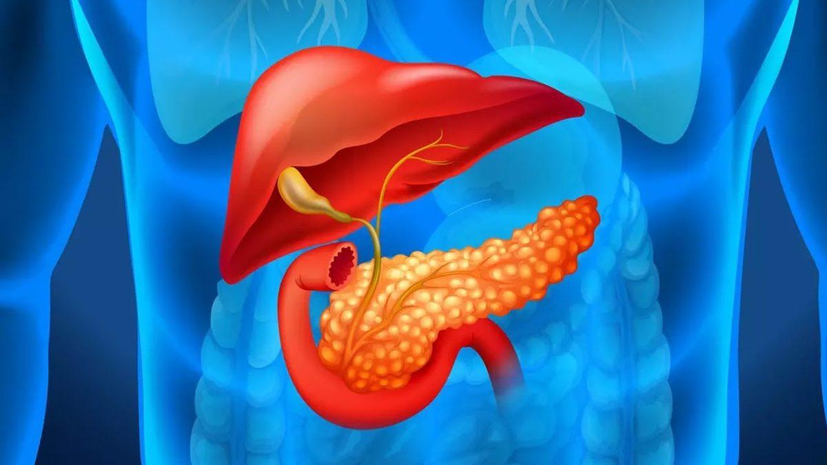 Kan Tahlillerinde Karşılaştığımız ’CA 19-9’ Değeri Bize Ne Anlatır, Yüksekliğini Neden Ciddiye Almalıyız?