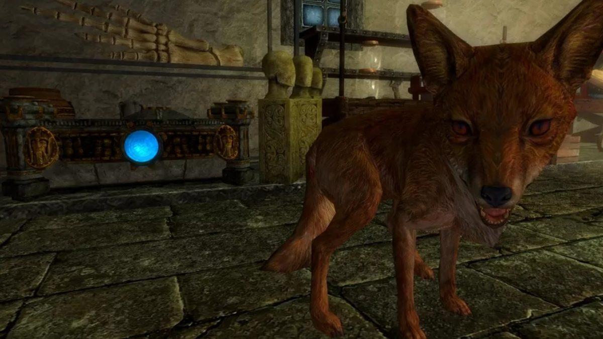 Skyrim Hayranları Toplansın: Yıllardır Çözülemeyen Tuhaf Bir Bilmece Sonunda Çözüldü